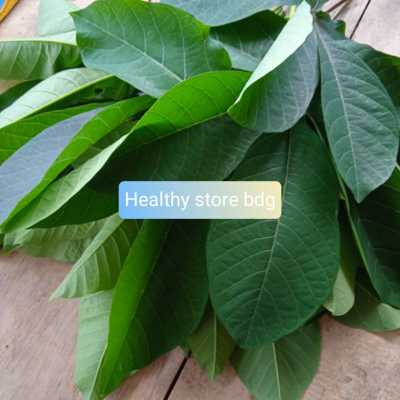 

Daun Singkong Karet Segar 500 Gram