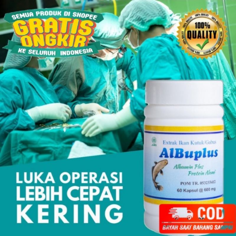 ALBUPLUS Albu Plus ekstrak Ikan Kutuk Ikan Gabus pro albumin procena