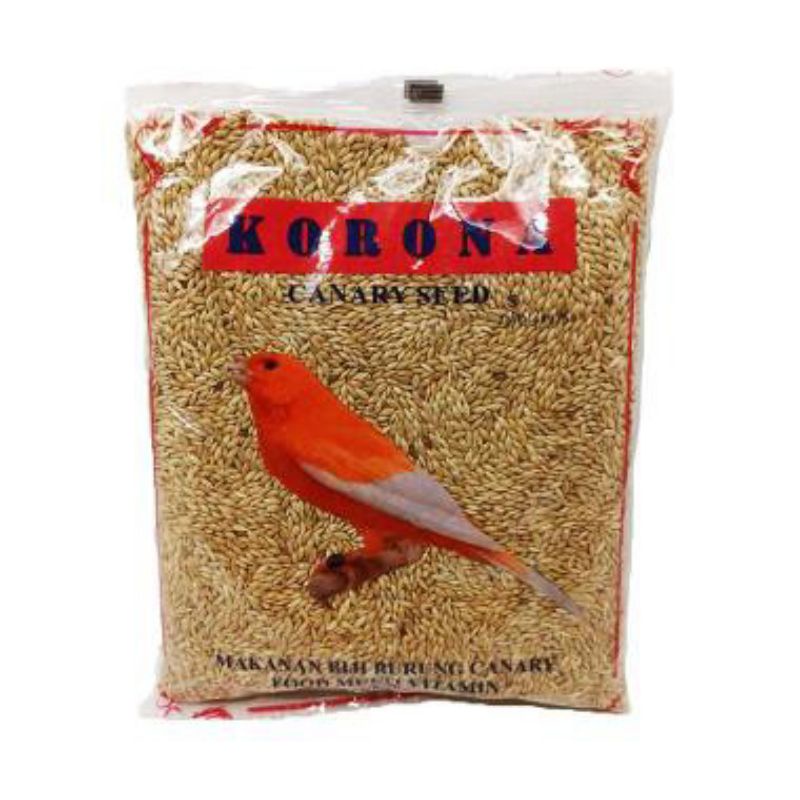 KORONA kenari seed