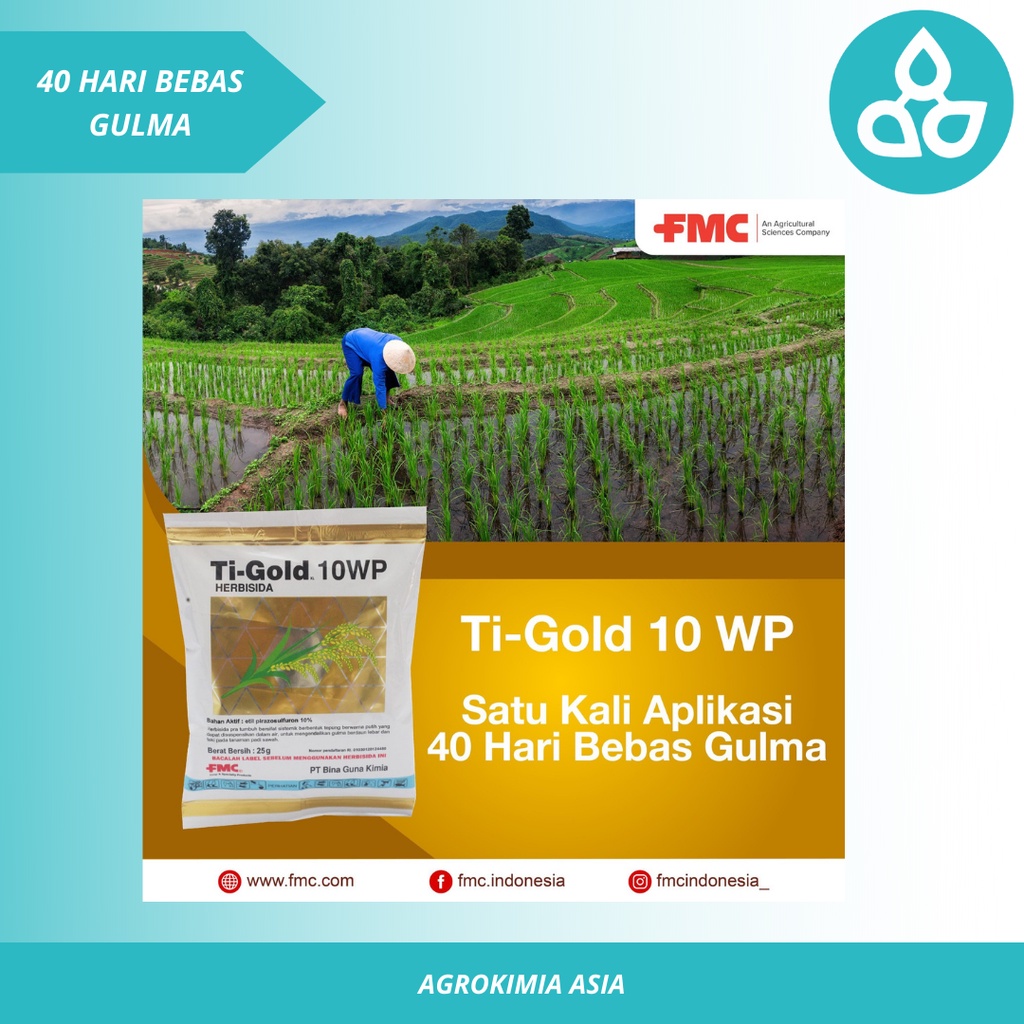 Ti-Gold 10 WP Herbisida Pra Tumbuh