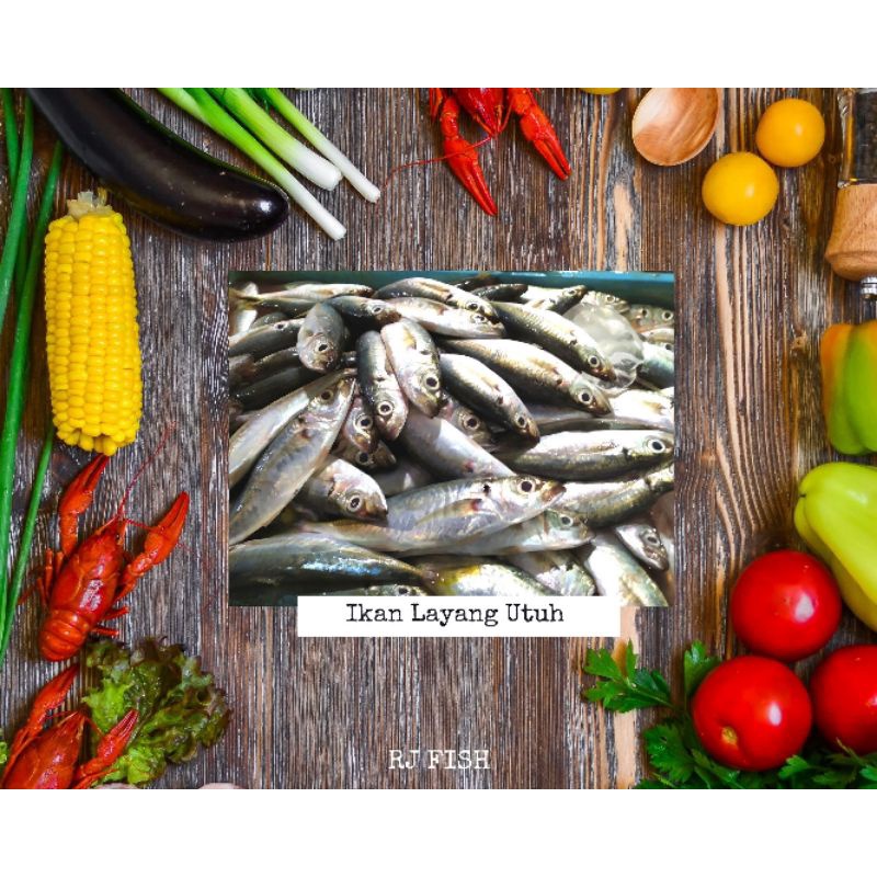

Ikan Layang Utuh Segar Beku RJ Fish