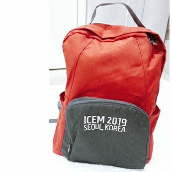 Tas Ransel  Preloved Warna Merah Bata