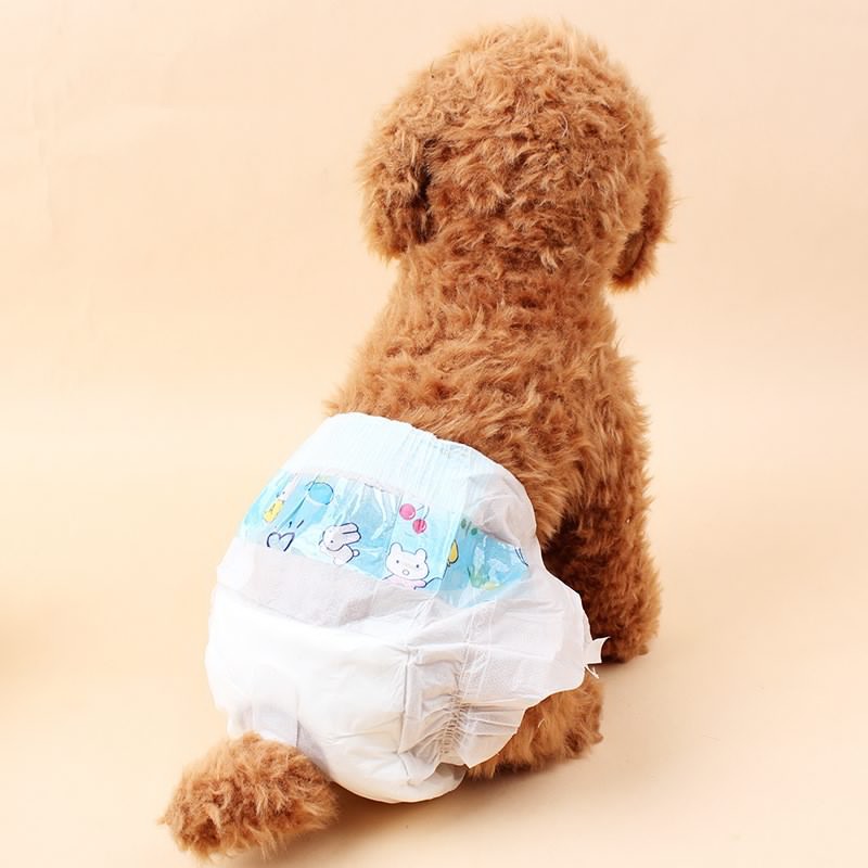 PAMPERS ANJING PAMPERS KUCING AKSESORIS ANJING AKSESORIS KUCING