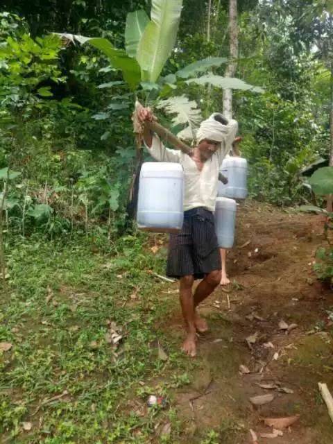 Madu asli 100%hutan baduy  madu odeng