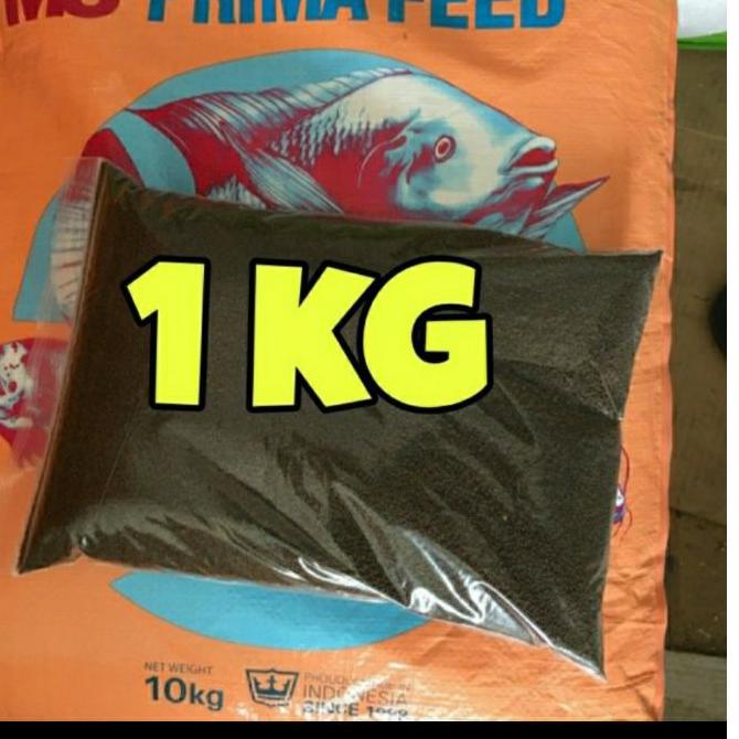 ♚ pf 500 pelet cupang guppy moly pelet benih ikan gurame pelet benih ikan ➾