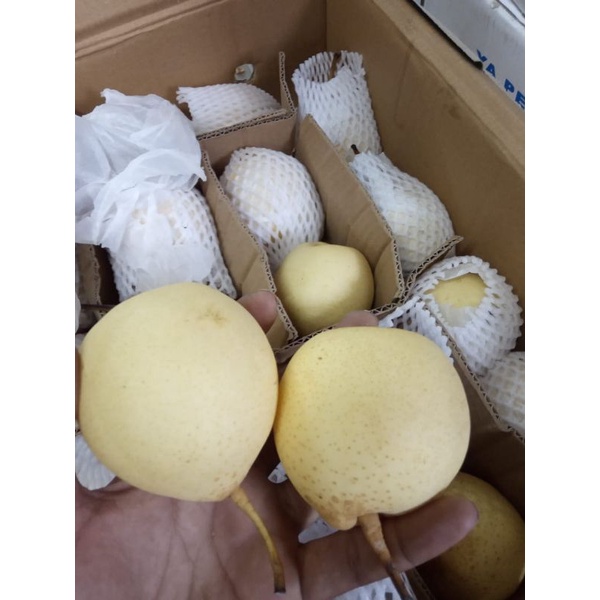 

Peir yally/century 1kg buah pir