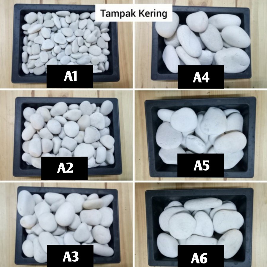 Batu koral Putih kupang / batu hias