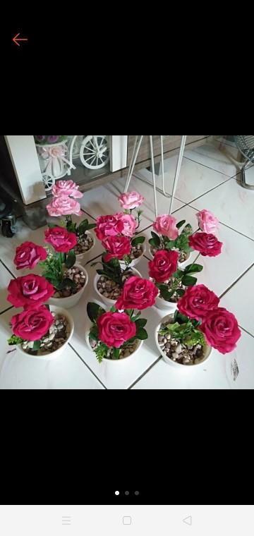 Bunga Mawar Kuncup
