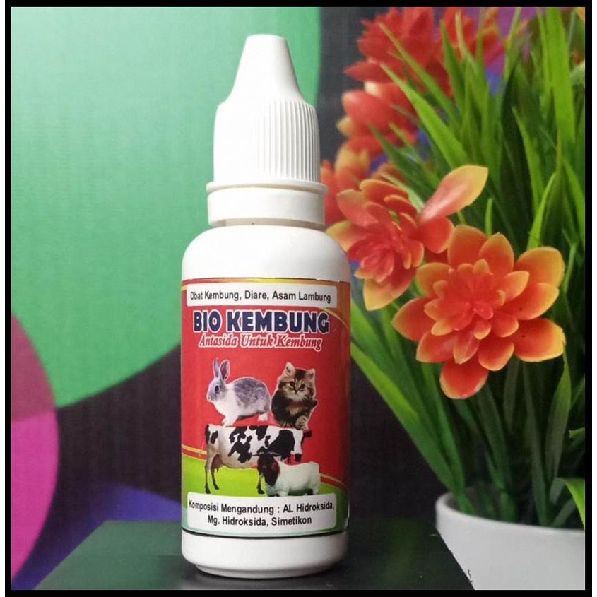 PROMO OBAT KEMBUNG KELINCI ORAL, JUAL OBAT KEMBUNG, Obat Kembung Hewan Kelinci Kucing Anjing Kambing