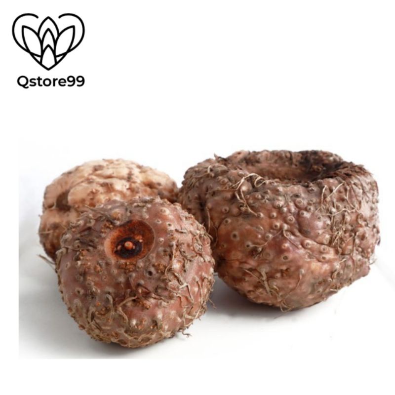 BIBIT UMBI PORANG 1kg