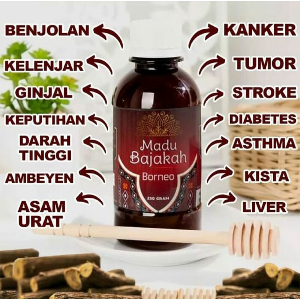 (BISA COD) MADU BAJAKAH MADU BAJAKA MADU BAJAKAH ORIGINAL MADU BAJAKA ORIGINAL MADU BAJAKAH ASLI MADU BAJAKA ASLI MADU BAJAKAH KALIMANTAN MADU BAJAKA KALIMANTAN MADU BAJAKAH ORIGINAL KALIMANTAN MADU BAJAKA ORIGINAL KALIMANTAN MADU BAJAKAH BORNEO