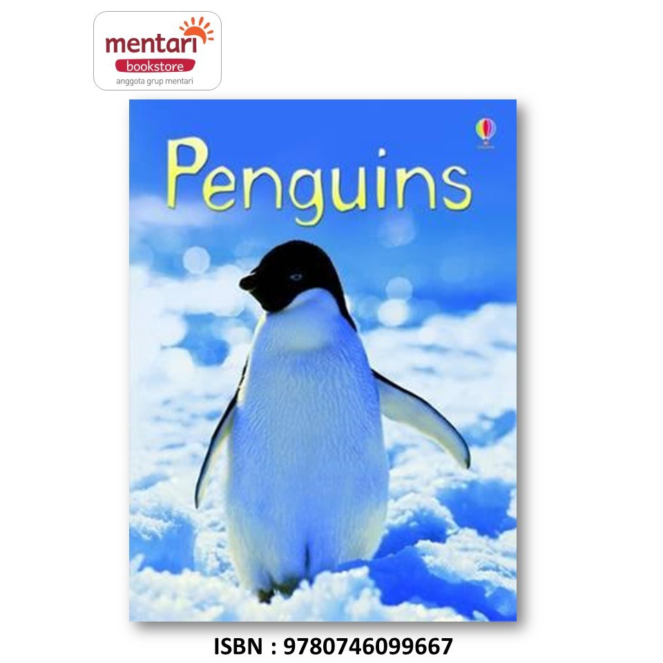 Penguins / Wildlife