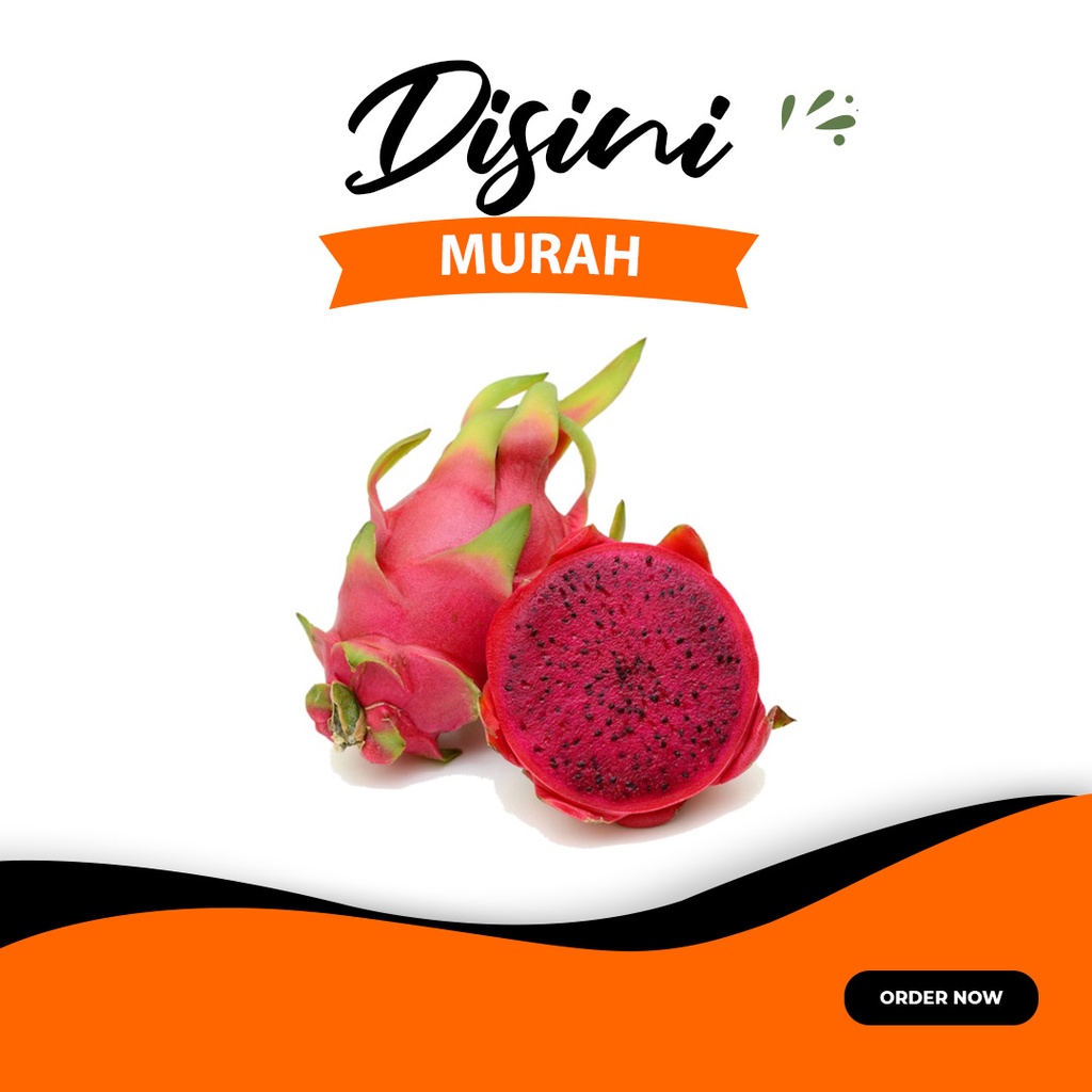 

Buah naga merah per kg