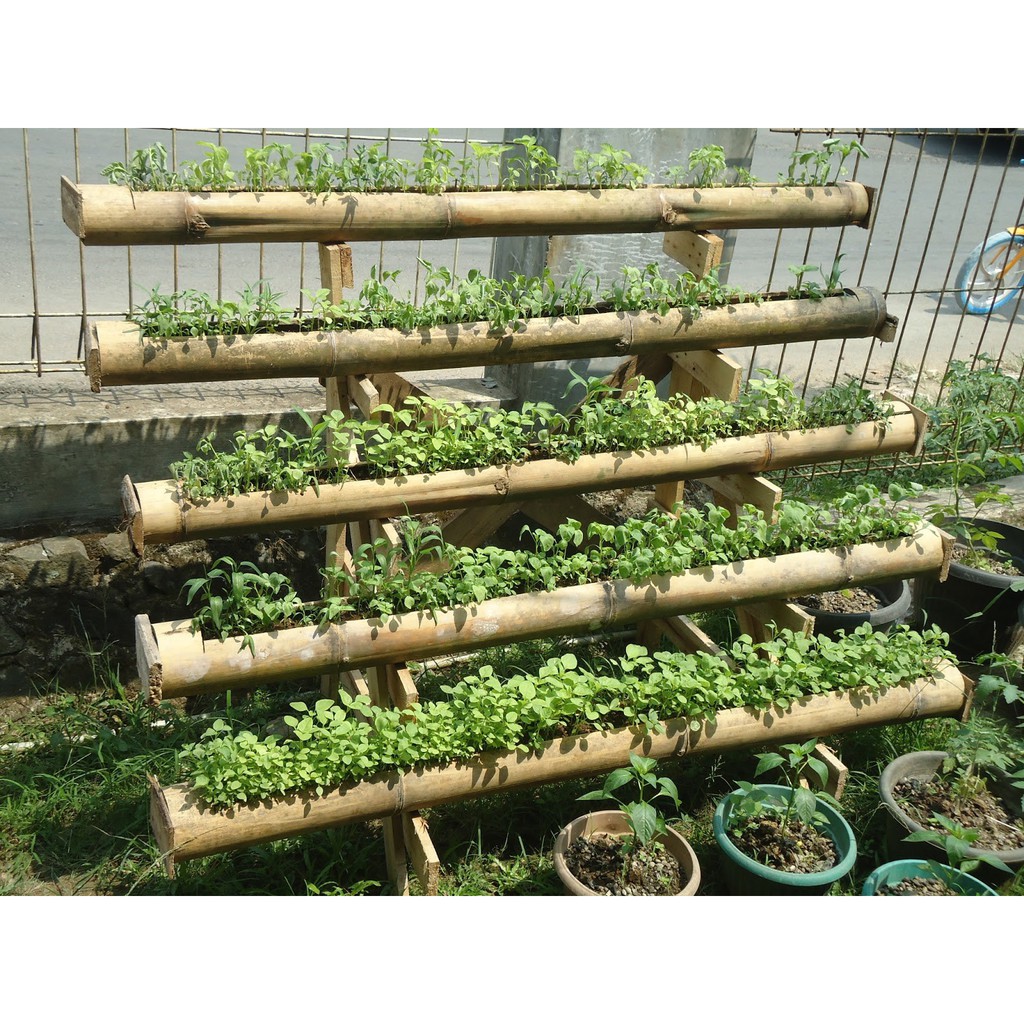 Bibit Sayuran Benih Sayur Paket Lengkap Hidroponik Kangkung Bayam Cabe Sawi Selada Terong Tomat dll-7
