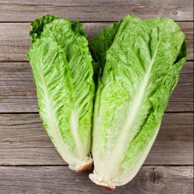 

Letuce Romaine 250 Gram