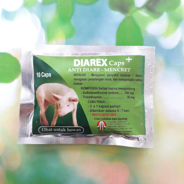 

DIAREX caps 10 Kapsul Capsul Obat Anti Diare Mencret Babi Antibiotik