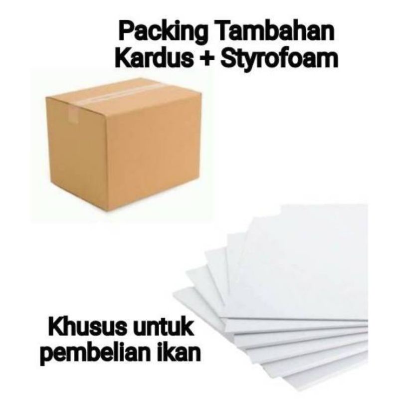 

Tambahan Packing Kardus dan Sterofoam | Styrofoam