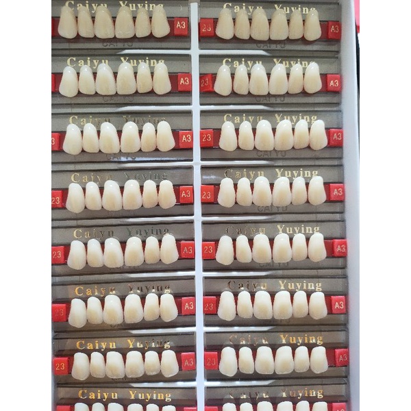 gigi palsu acrylic Gigi Depan - CAIYU DENTAL perbox isi 16 /akrilik per box murah depan atas / bawah