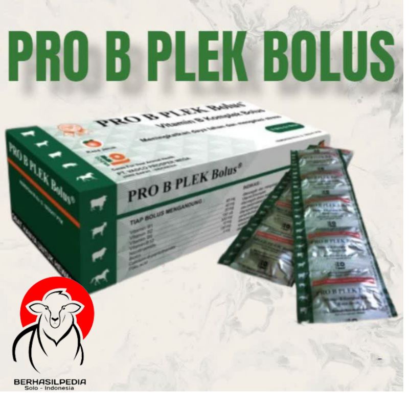VITAMIN B KOMPLEKS PRO B PLEK BOLUS VADCO  /BOLUS- vitamin untukmeningkatkan daya tahan tubuh & meng