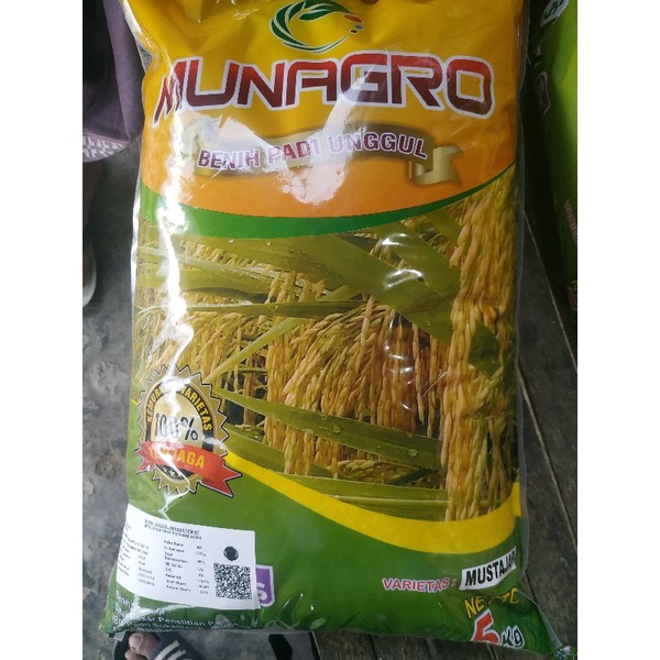 Benih padi Mustajab munagro 5 kg