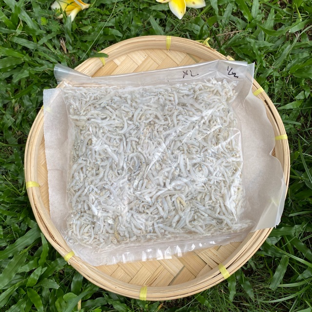 

teri medan teri toge ukuran xl 250 gr