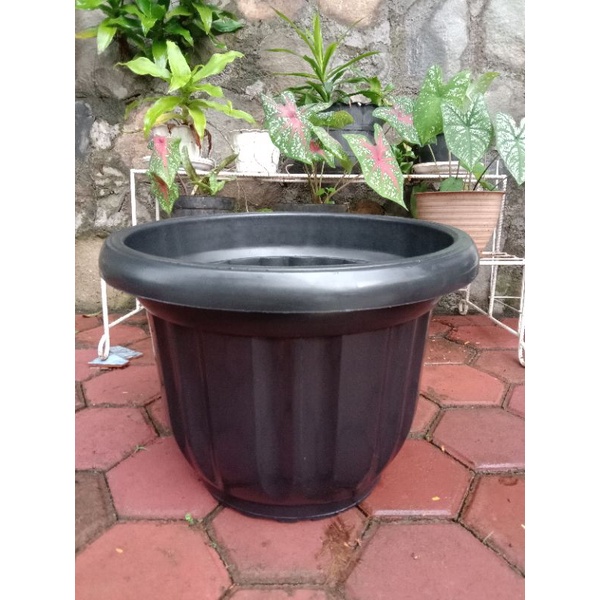 Jual Pot Bunga Besar Jumbo Gloria Hitam Cm Pot Tanaman Hias Besar