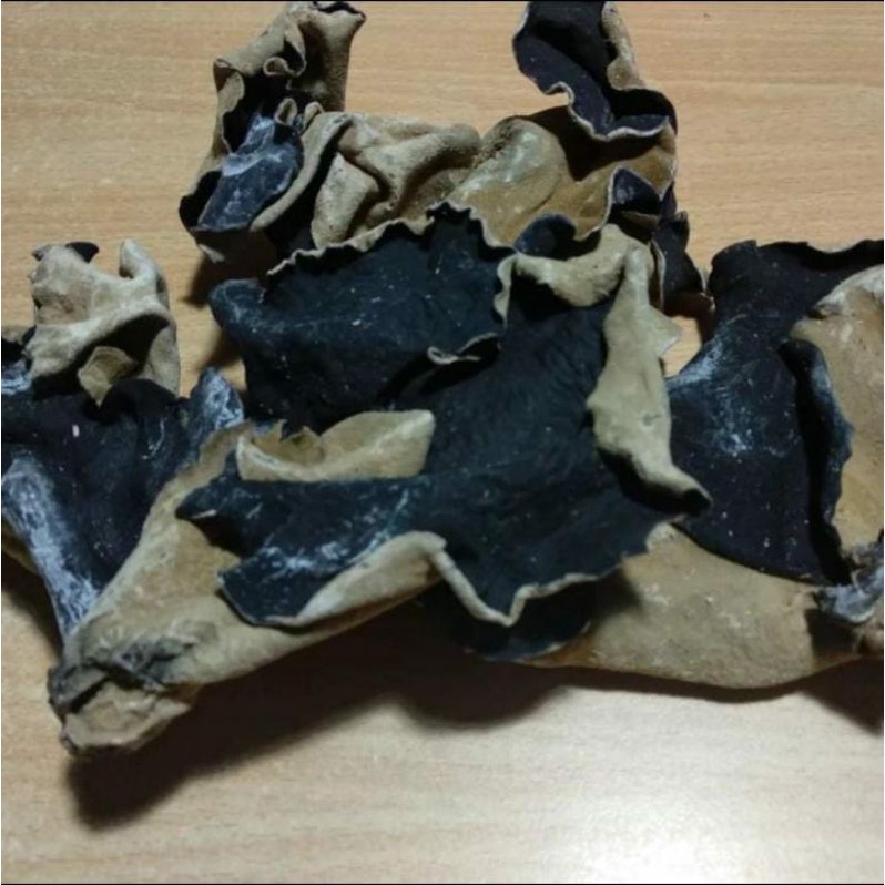 

Jamur Kuping Kering Grade A 100gr