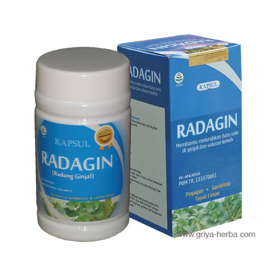 

RADAGIN - Radang Ginjal