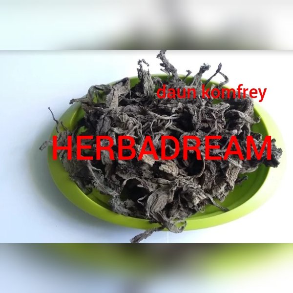 

DAUN KOMFREY COMFREY KERING 1 KG - Symphytum - MURNI - JSR - REM