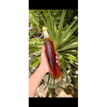 

Madu Asli Lebah hutan liar