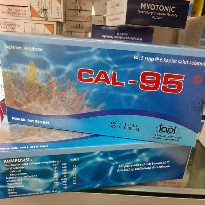 Cal 95 Ibu Hamil Cal 95 Ibu Menyusui Cal 95 Untuk Tulang