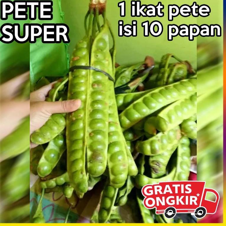 

ヹF paket 10 papan pete segar / 1 ikat HOT ITEM 2190 ☀
