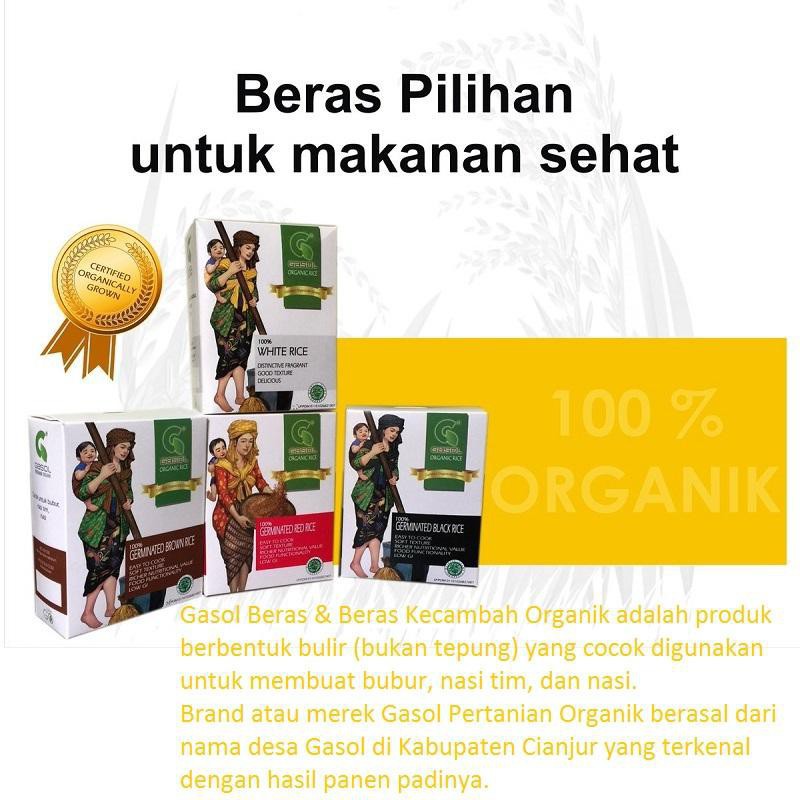 Best Seller Beras Organik Gasol Makanan Bayi MPASI 300gr / Beras GASOL