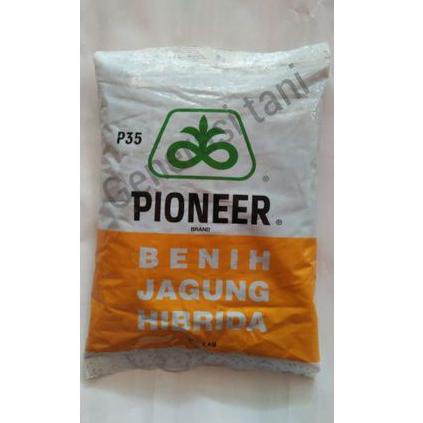 (S2E8).. Benih jagung hibrida pioneer P35 kemasan 1kg //Just@today
