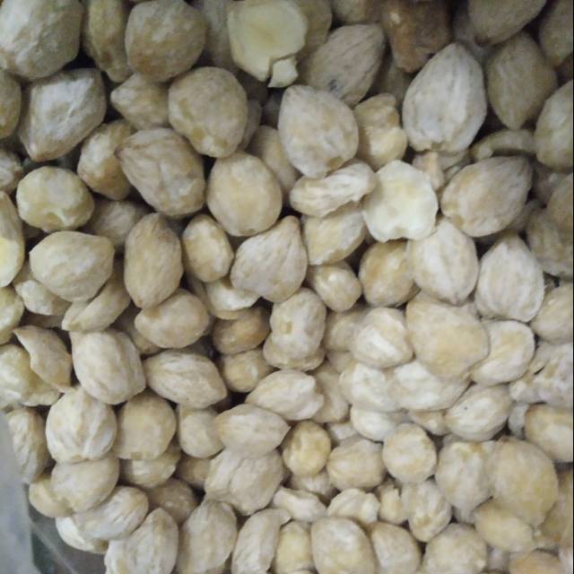 

Kemiri Muncang 100 gram