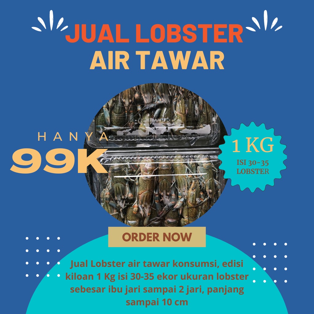 LOBSTER AIR TAWAR KONSUMSI KILOAN BANDUNG "HANYA 99 RIBU" isi 30-35/kg