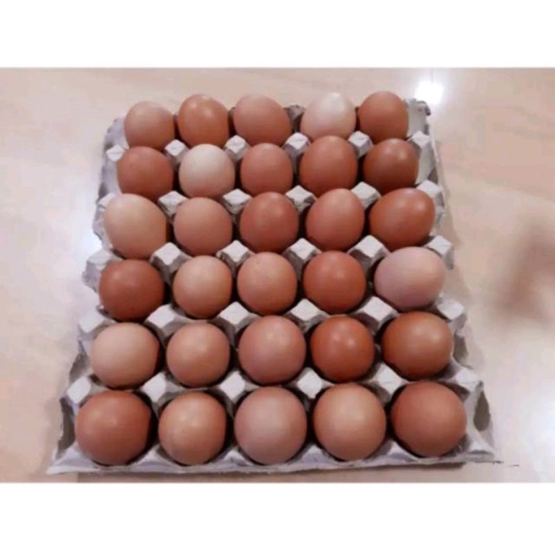 

Telur/Telor Ayam Negeri Fresh Baru