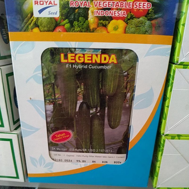 benih timun LEGENDA (±800 btr)