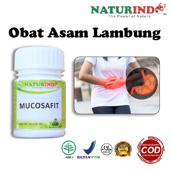 Jual Obat Herbal Asam Lambung Maag Gerd Perut Kembung Tukak Lambung Original Bpom Mucosafit