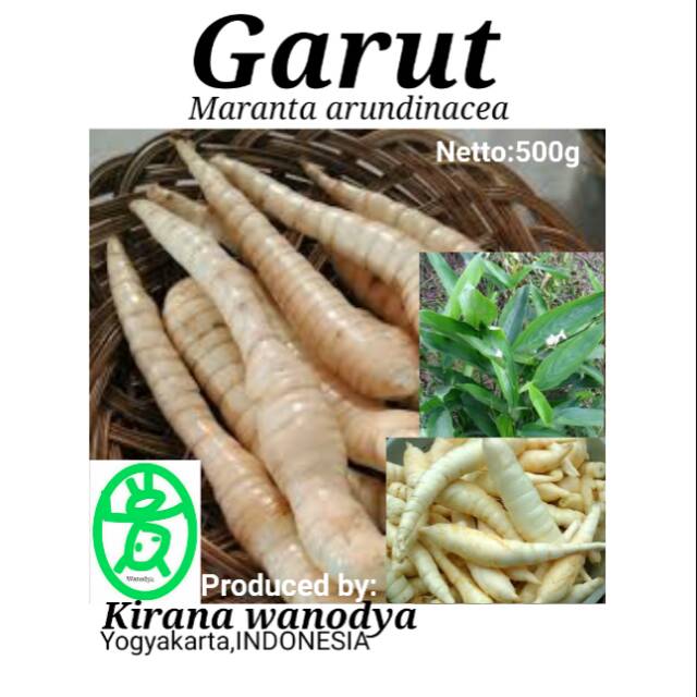 

Garut Tepung 500g Pati - Kirana