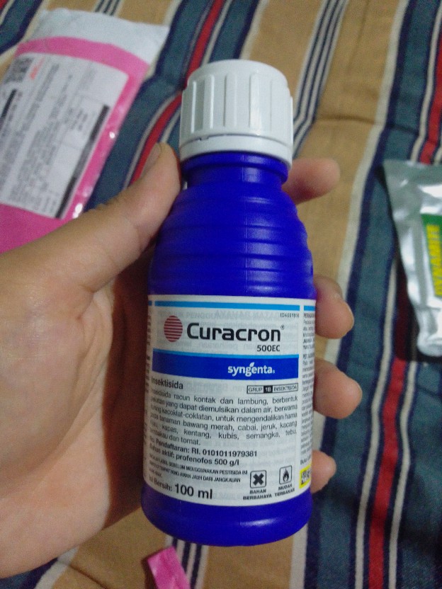 Insektisida Pembasmi Ulat, Kutu, Dan Serangga Curacron