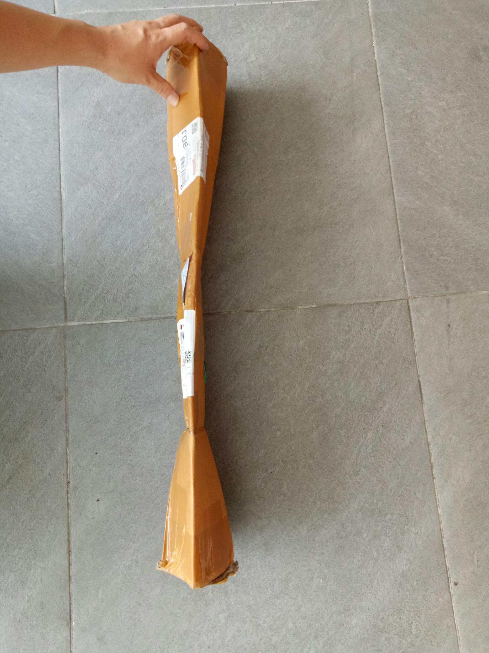 Bibit Ceri Barbados Original