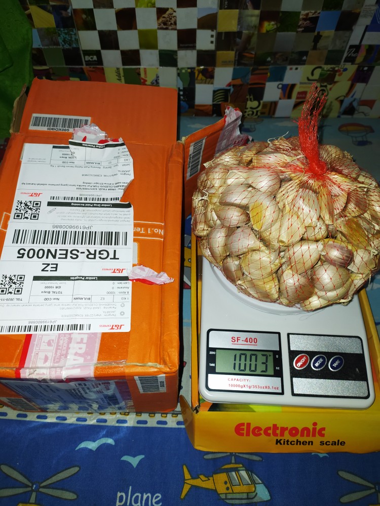 Bawang Putih Kating Harum Bersih 1 Kg