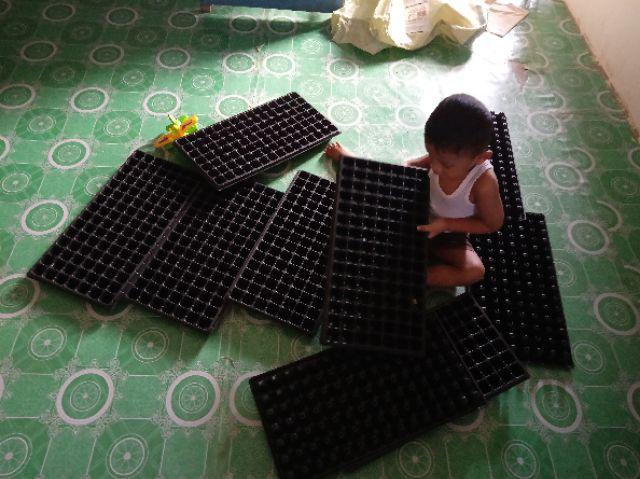Pot Tray / Tray Semai Tipe 105 Lubang