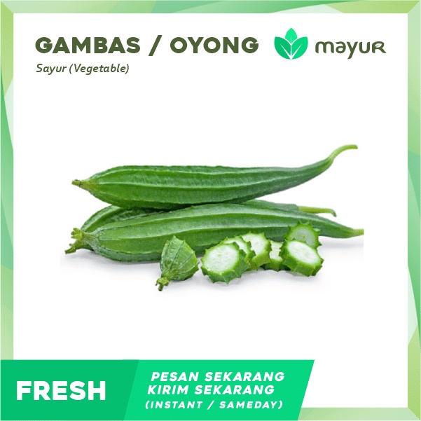 

Oyong / Gambas 1 Pcs