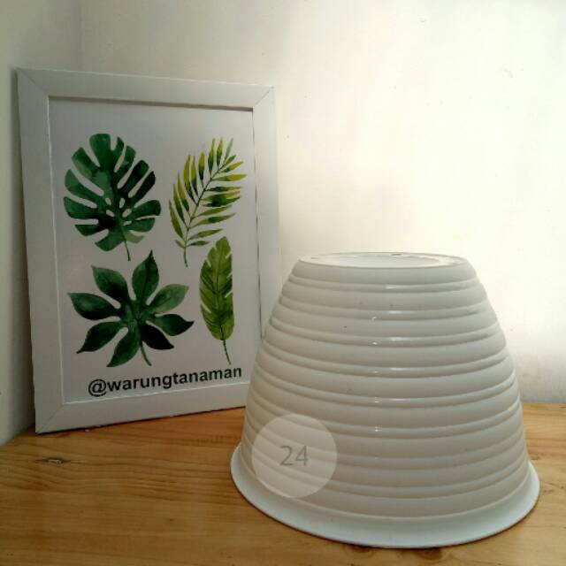 Pot tawon diameter 24 Shopee Indonesia Pot tawon diameter 24 Shopee Indonesia