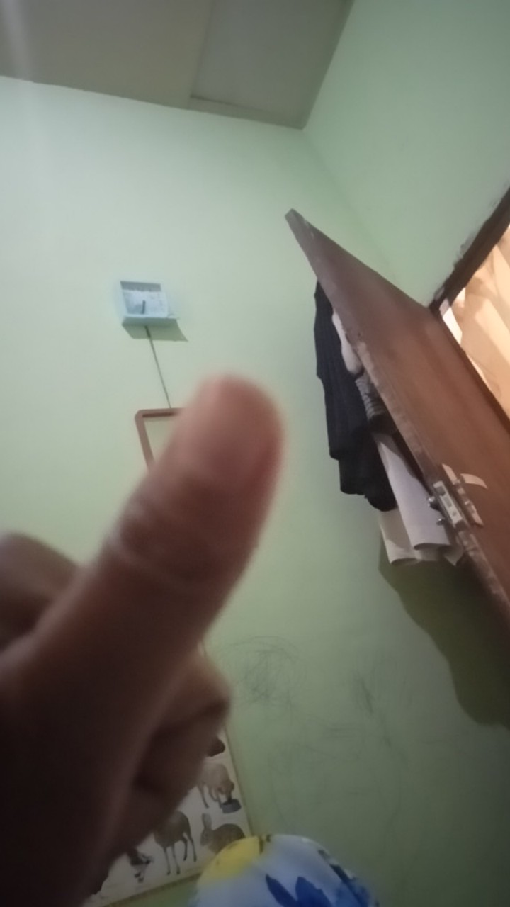 Gantungan Lap Tisu Dapur Plastik Roll / Rak Tempel Dapur / Gantungan