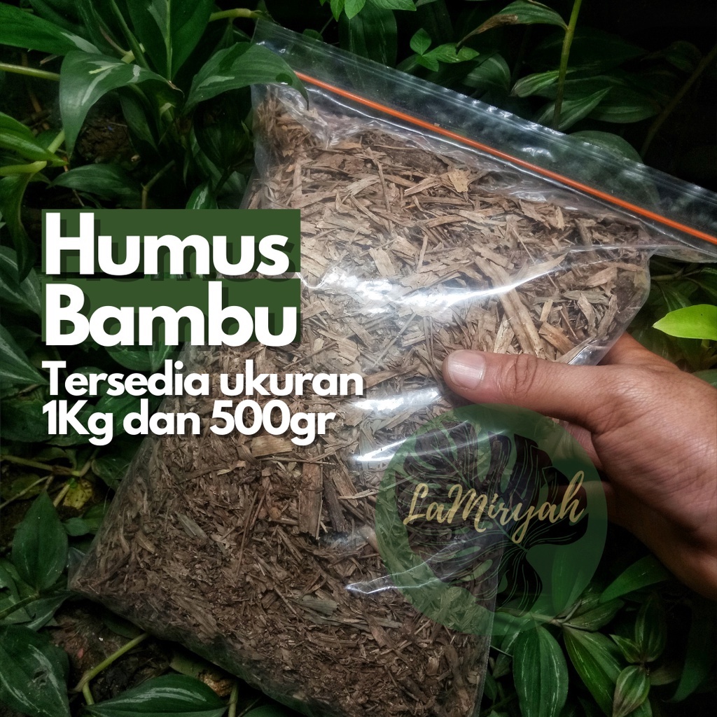 Jual Media Tanam Humus Daun Bambu Daun Bambu Lapuk Kompos Daun