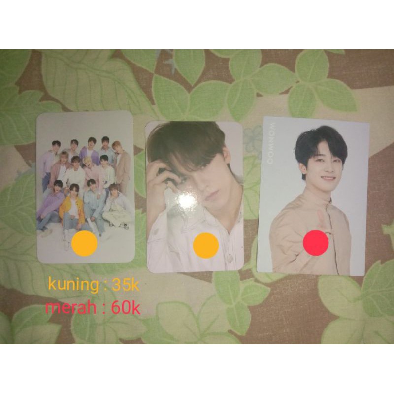 Seventeen Photocard AO+ & Tc Dome Tour