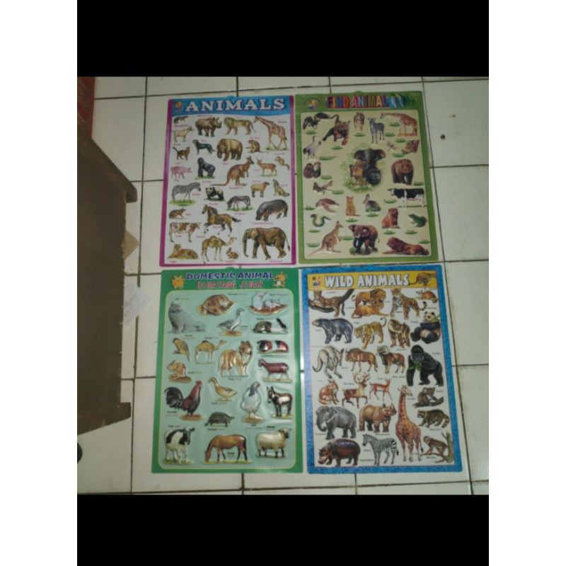 Poster Edukasi Timbul Huruf Alfabet Hijaiyah Hewan Sayur Buah Angka Alphabet Alpabet